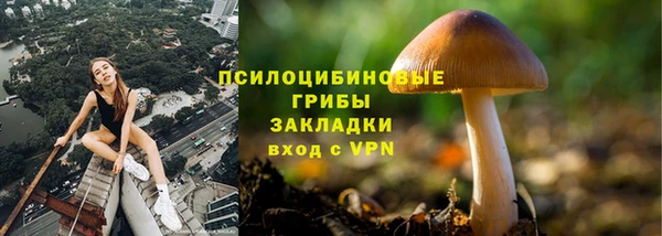 МДПВ Армянск