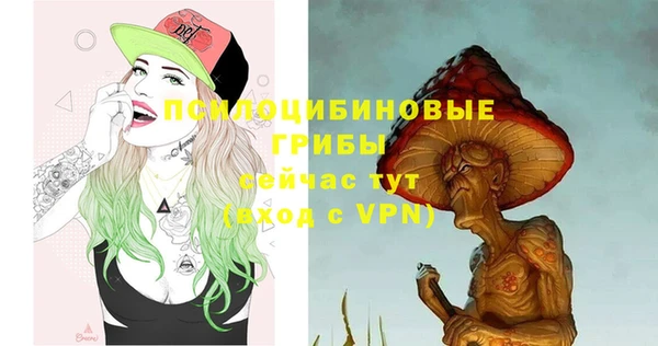 гидропоника Аркадак