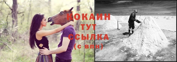 дживик Арсеньев